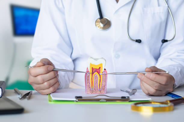 Best Emergency TMJ Treatment in North Middletown, NJ